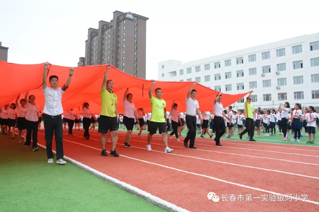 浙江队蓄势待发，顽强反击，迎接挑战的简单介绍